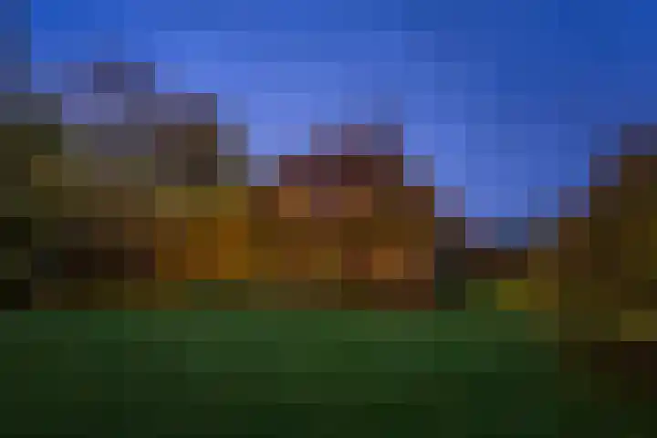 Paalbeekweg 14 Epe thumbnail 69