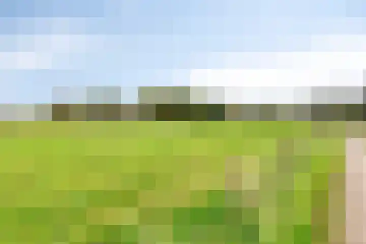 Paalbeekweg 14 Epe thumbnail 7