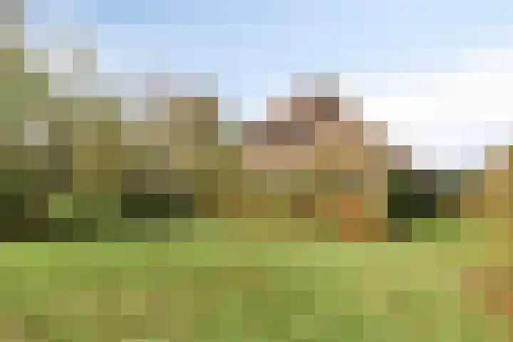 Paalbeekweg 14 Epe thumbnail 70