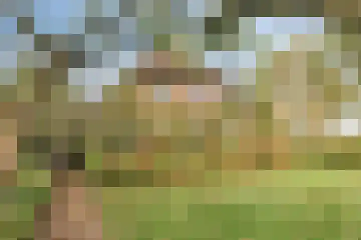 Paalbeekweg 14 Epe thumbnail 71