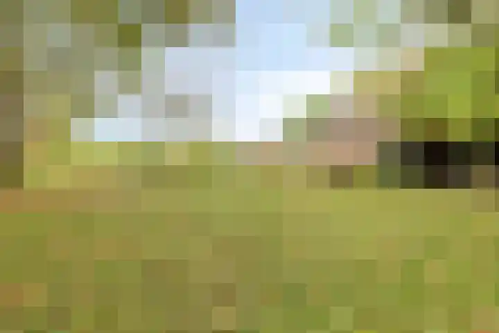 Paalbeekweg 14 Epe thumbnail 72