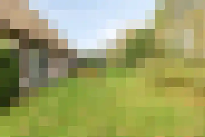Paalbeekweg 14 Epe thumbnail 73