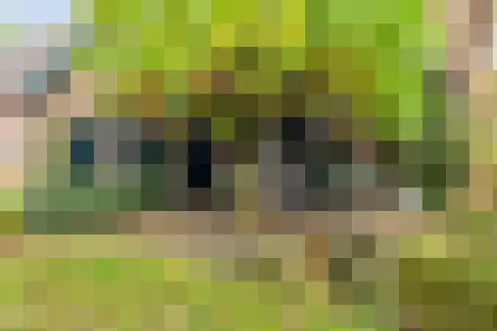 Paalbeekweg 14 Epe thumbnail 74
