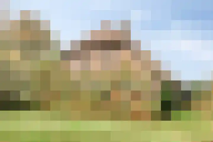 Paalbeekweg 14 Epe thumbnail 75