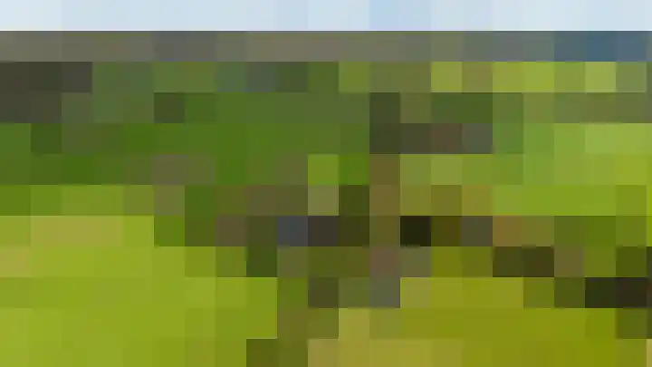 Paalbeekweg 14 Epe thumbnail 76