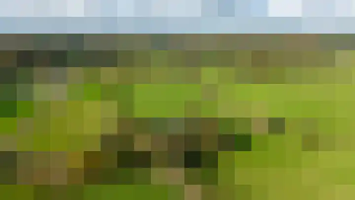 Paalbeekweg 14 Epe thumbnail 77