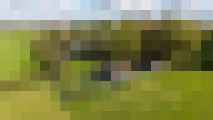 Paalbeekweg 14 Epe thumbnail 78