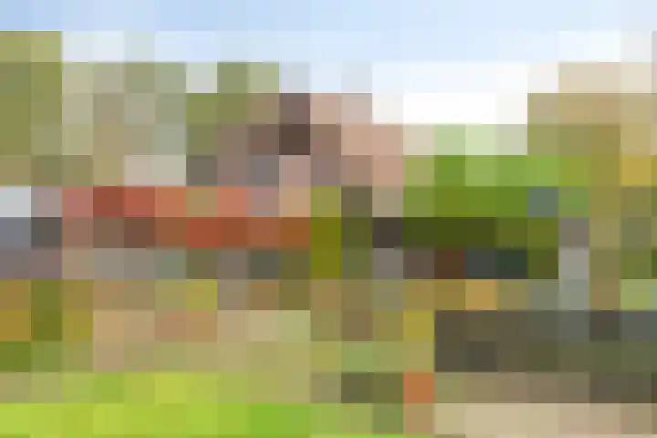 Paalbeekweg 14 Epe thumbnail 8