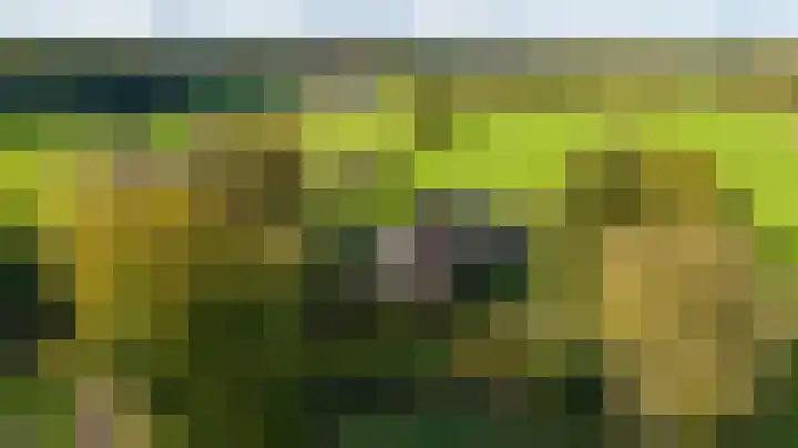 Paalbeekweg 14 Epe thumbnail 80