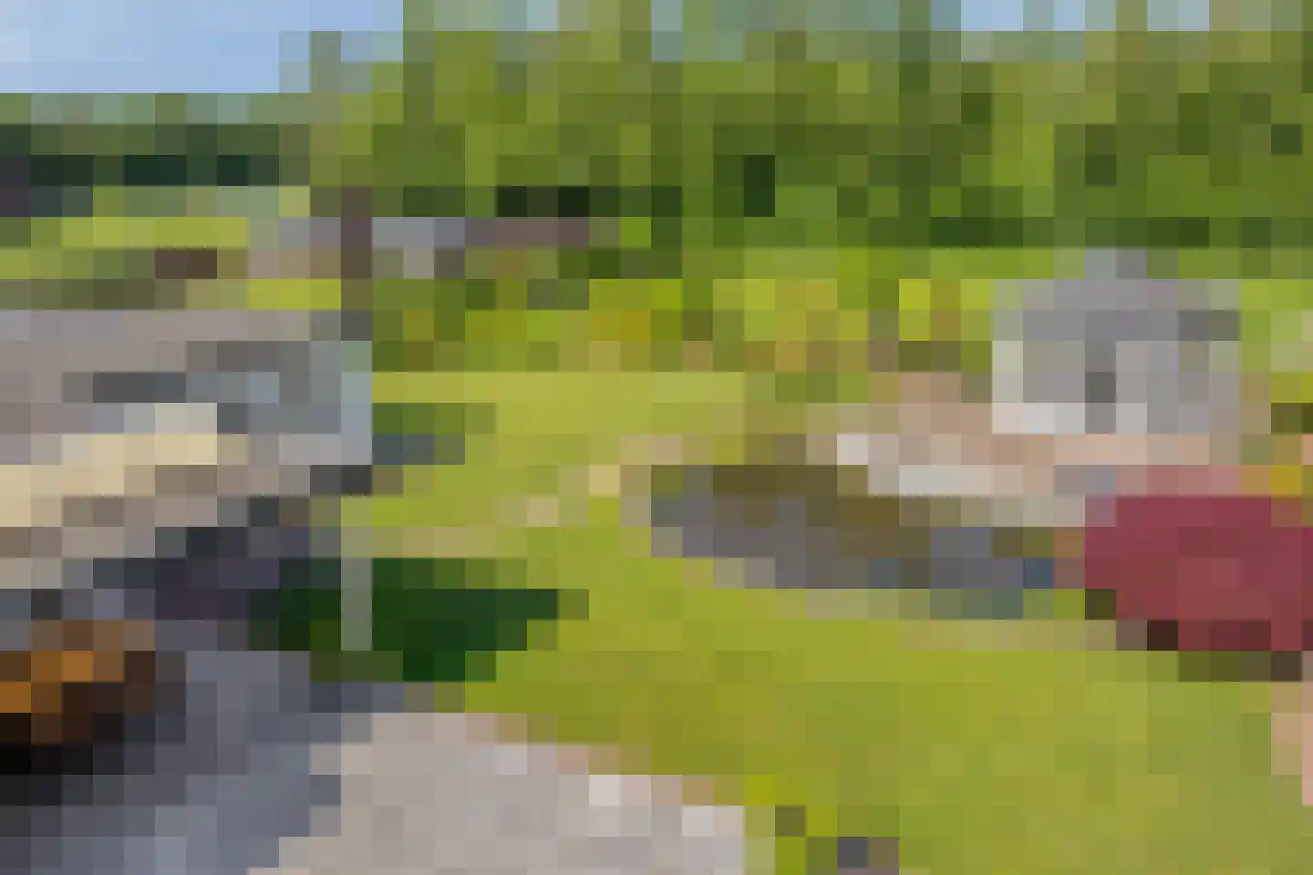 Paalberg 1 Mariahout thumbnail 54