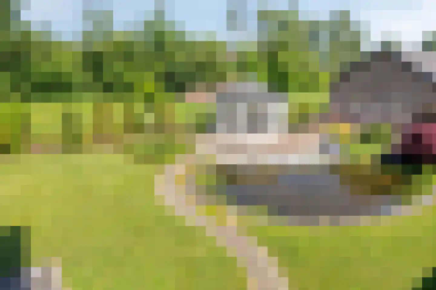 Paalberg 1 Mariahout thumbnail 55
