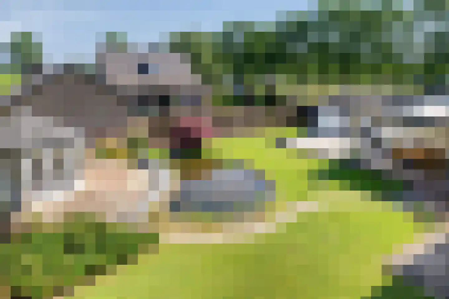 Paalberg 1 Mariahout thumbnail 56