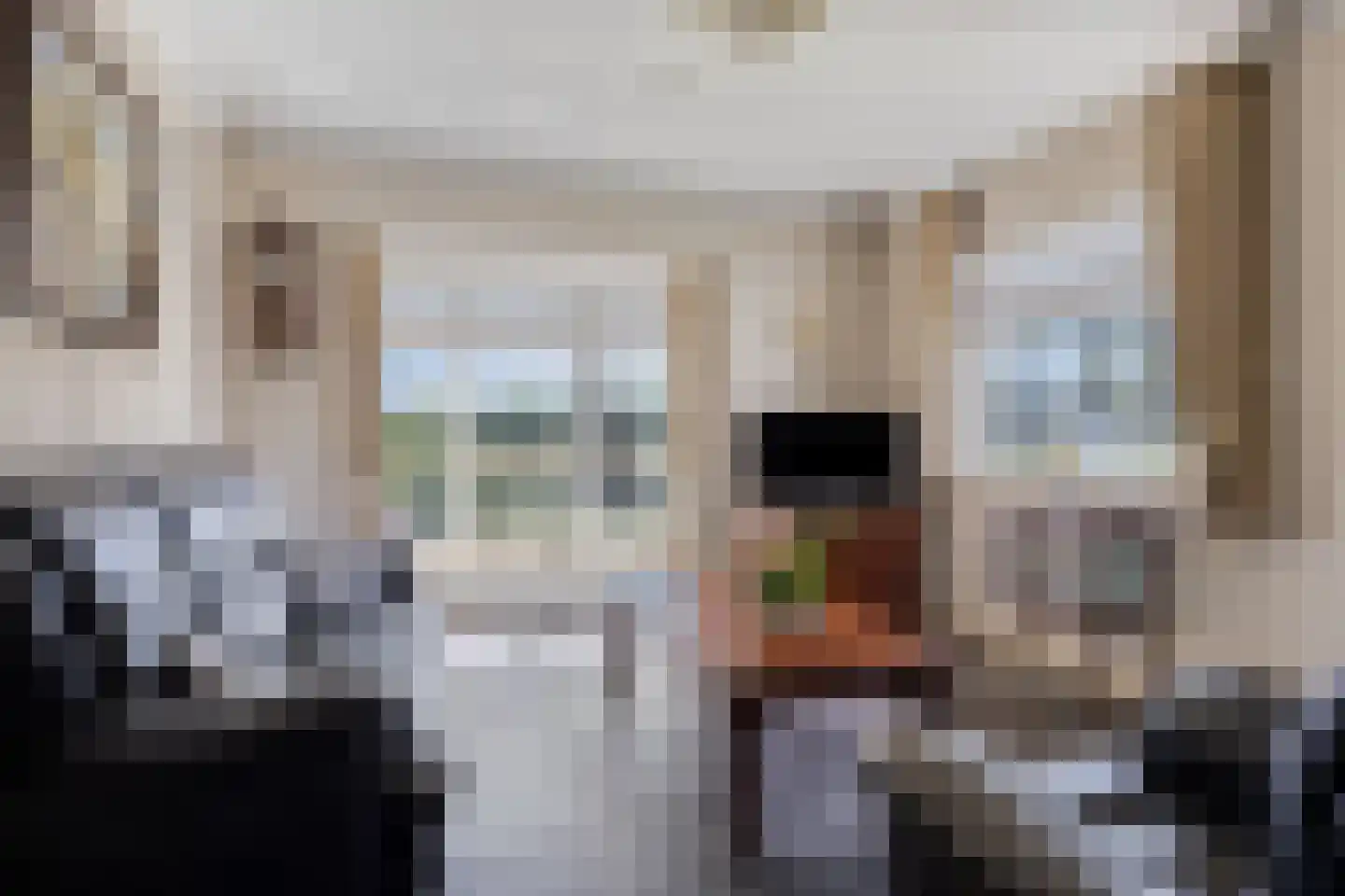 Paalberg 1 Mariahout thumbnail 8