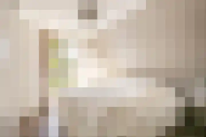 Paalbergweg 16 B Hoenderloo thumbnail 13