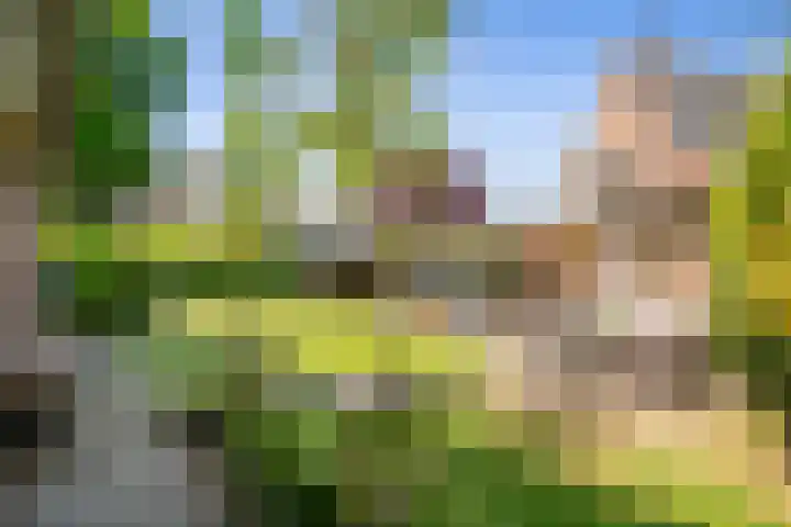 Paalbergweg 16 B Hoenderloo thumbnail 19