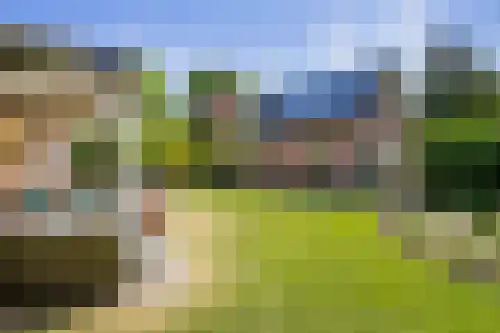 Paalbergweg 16 B Hoenderloo thumbnail 20