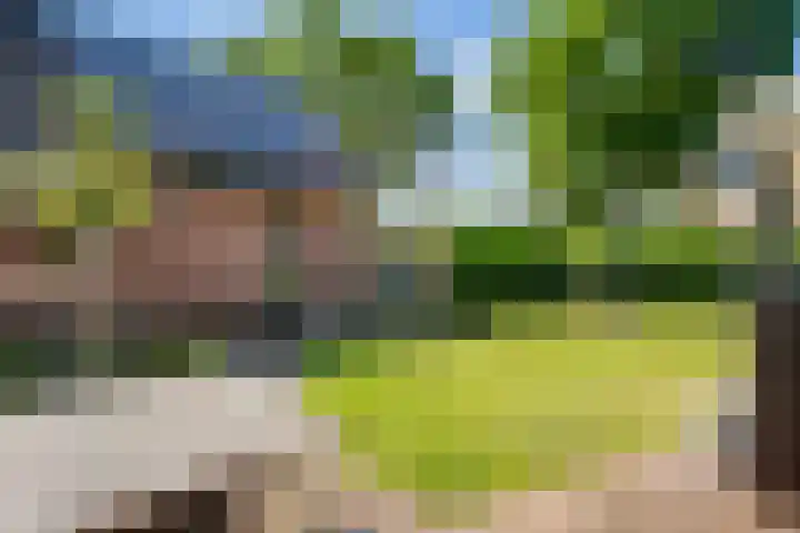 Paalbergweg 16 B Hoenderloo thumbnail 21