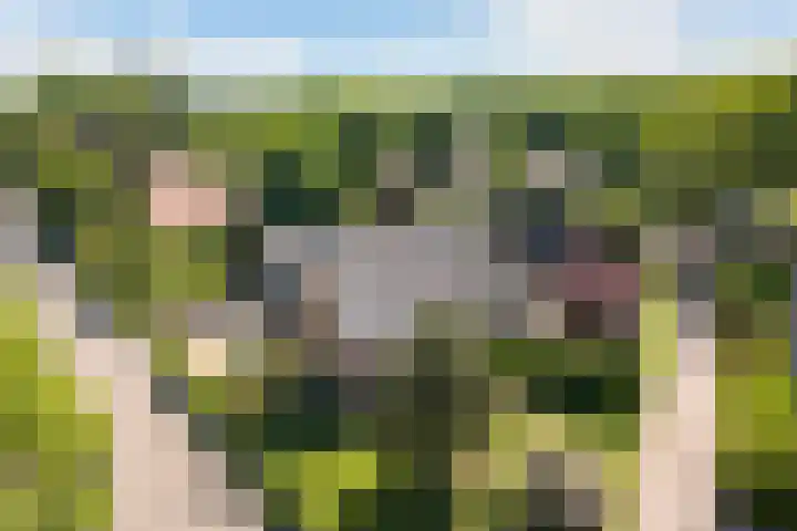 Paalbergweg 16 B Hoenderloo thumbnail 27