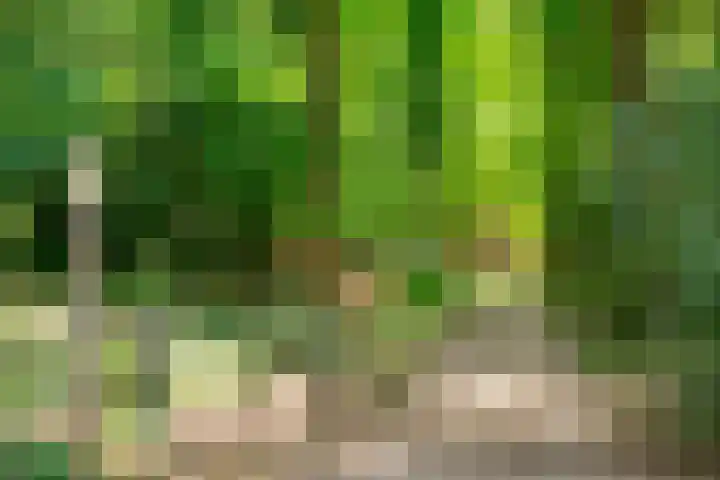 Paalbergweg 16 B Hoenderloo thumbnail 28