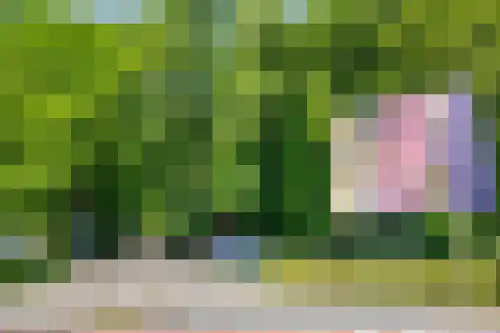 Paalbergweg 16 B Hoenderloo thumbnail 29