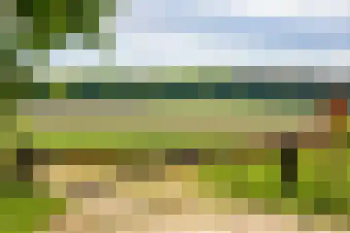 Paalbergweg 16 B Hoenderloo thumbnail 30