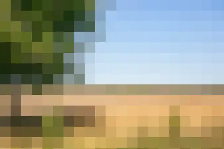 Paalbergweg 16 B Hoenderloo thumbnail 31