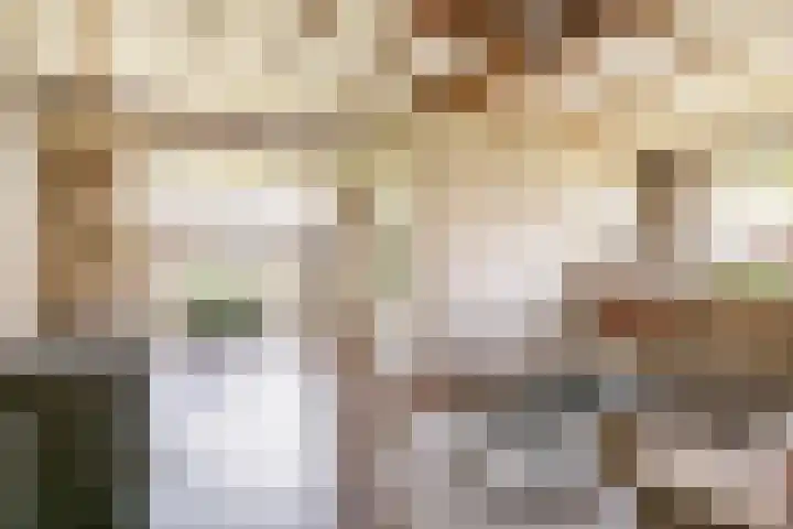 Paalbergweg 16 B Hoenderloo thumbnail 9
