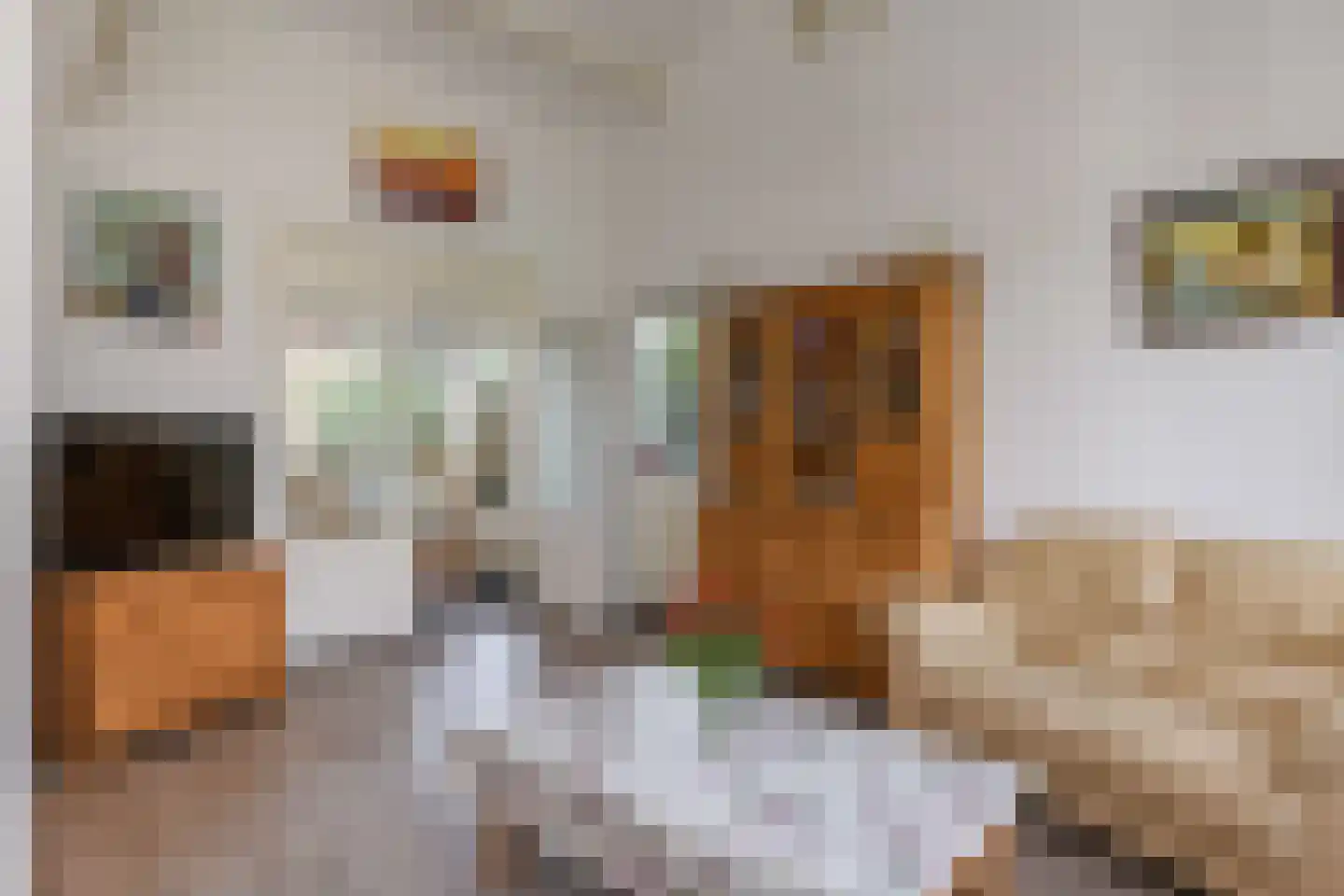 Paalbergweg 16 Hoenderloo thumbnail 27