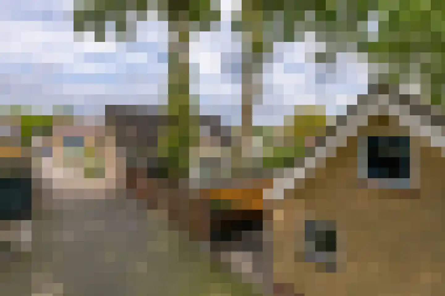 Paalbergweg 16 Hoenderloo thumbnail 38