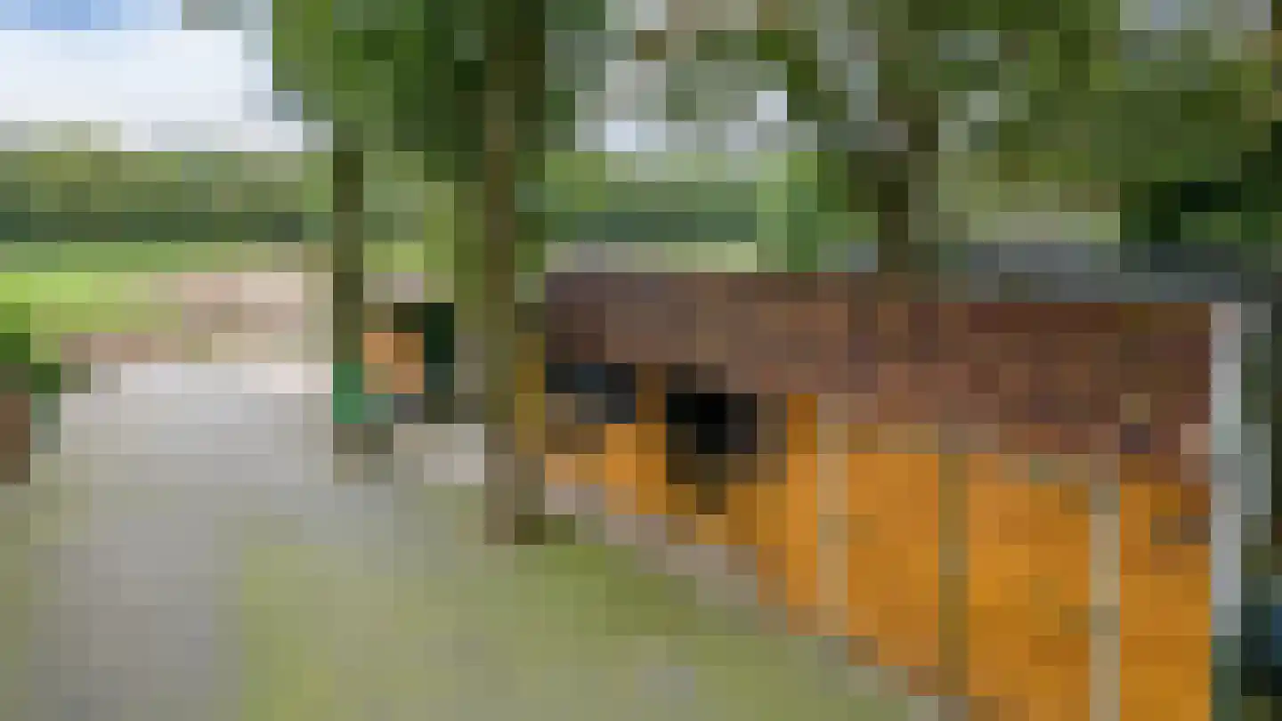 Paalbergweg 16 Hoenderloo thumbnail 40