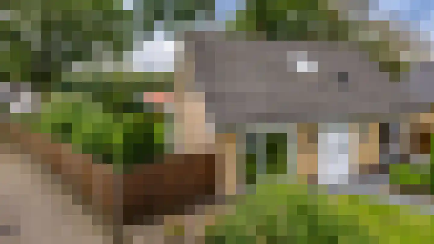 Paalbergweg 16 Hoenderloo thumbnail 43