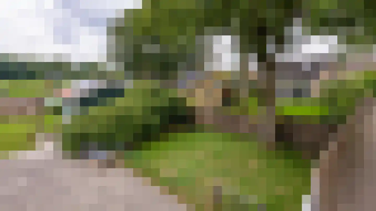 Paalbergweg 16 Hoenderloo thumbnail 45
