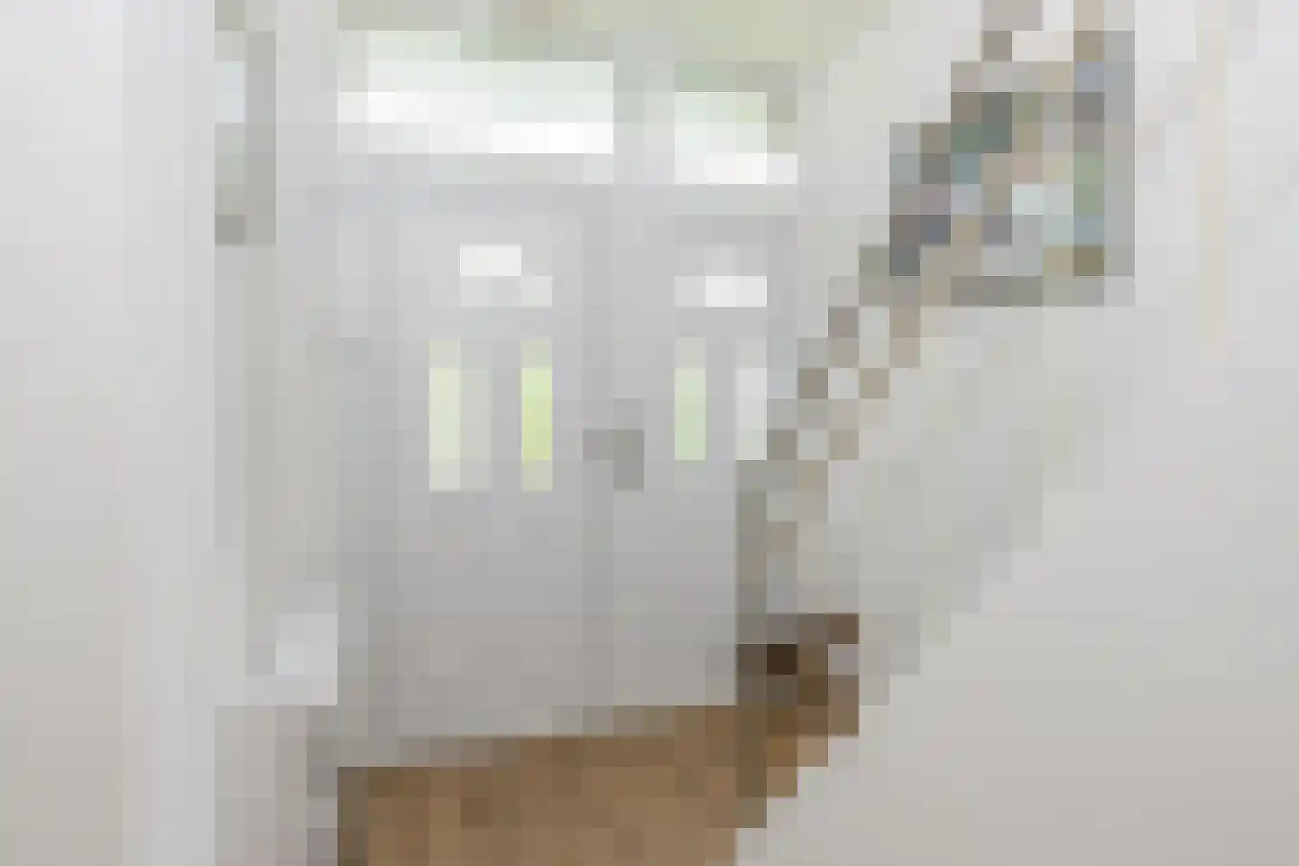 Paalbergweg 16 Hoenderloo thumbnail 5