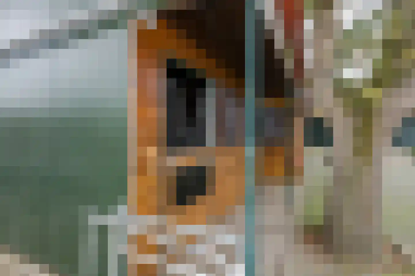 Paalbergweg 16 Hoenderloo thumbnail 56