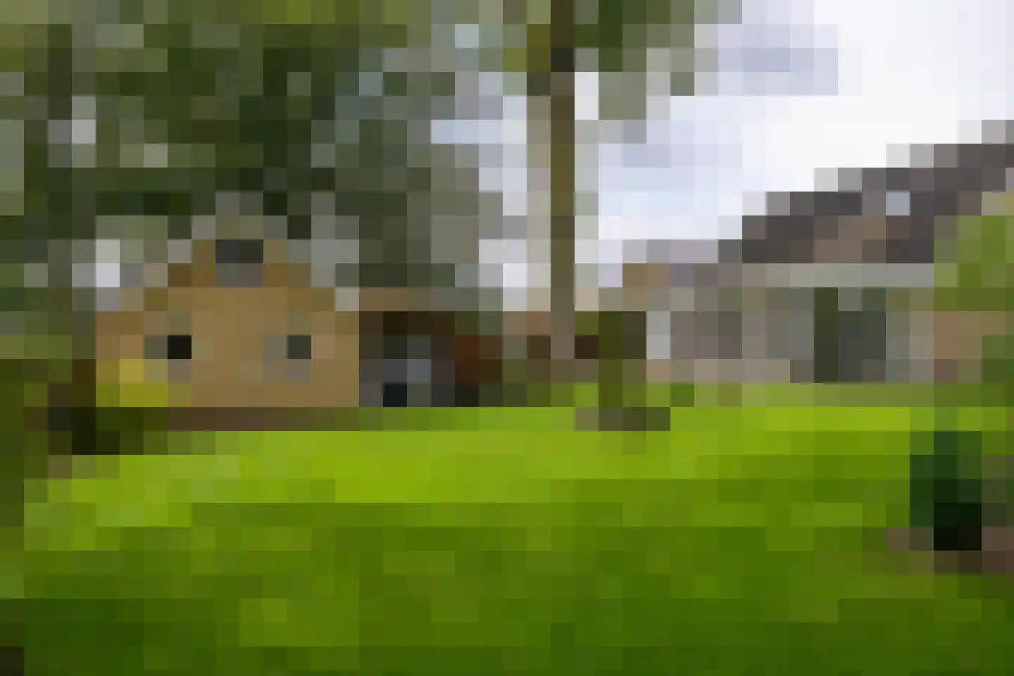 Paalbergweg 16 Hoenderloo thumbnail 62