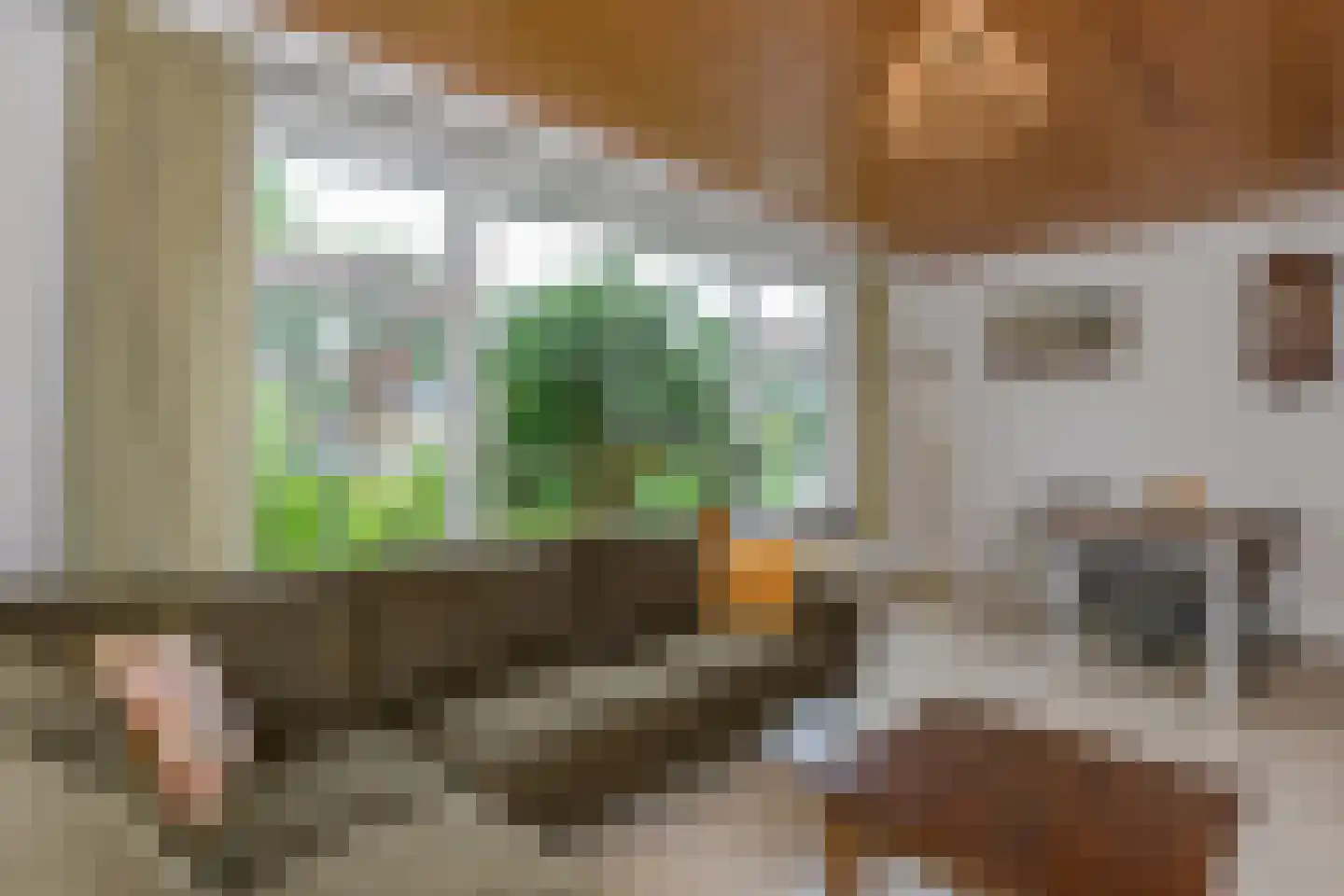Paalbergweg 33 Hoenderloo thumbnail 13