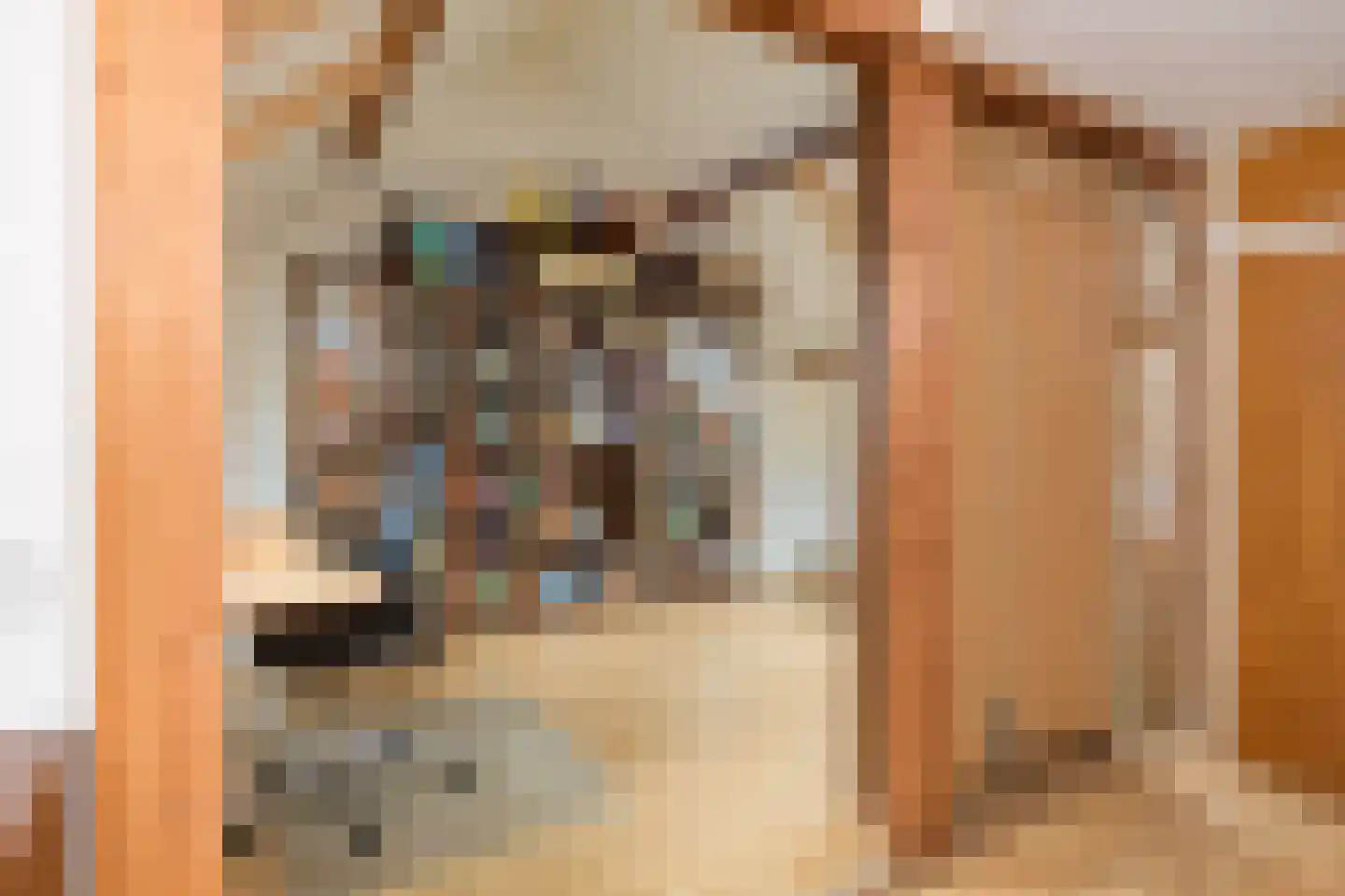 Paalbergweg 33 Hoenderloo thumbnail 22