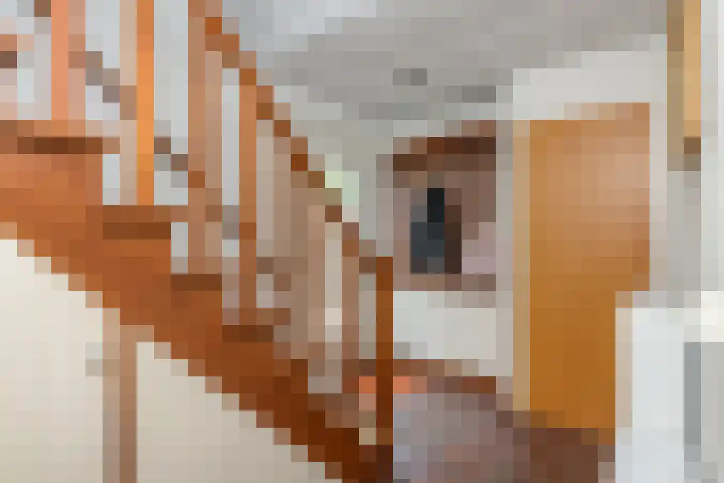 Paalbergweg 33 Hoenderloo thumbnail 6