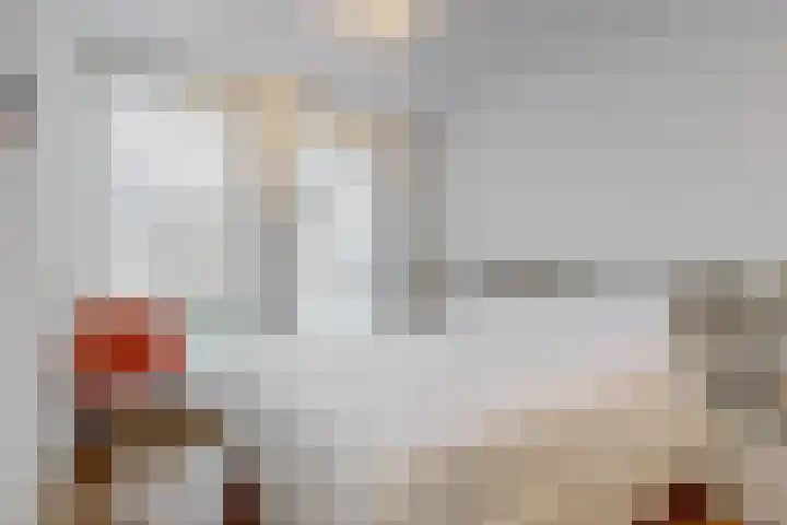 Paaldijk 122 Zwaag thumbnail 11