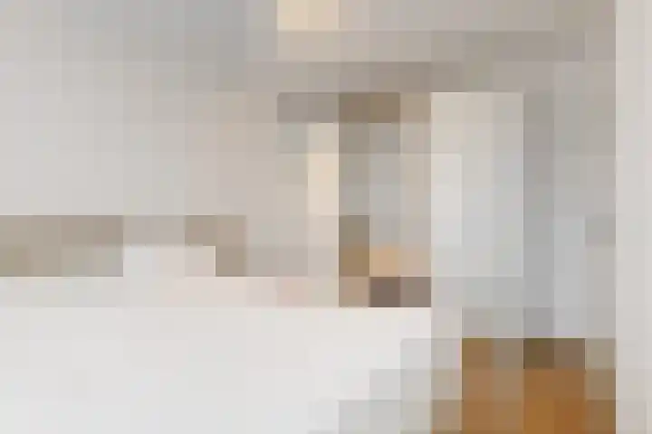 Paaldijk 122 Zwaag thumbnail 12