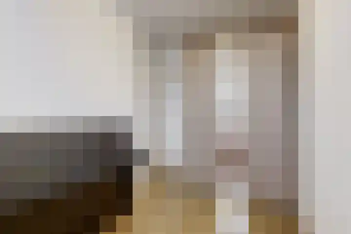 Paaldijk 122 Zwaag thumbnail 14