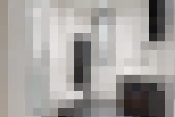 Paaldijk 122 Zwaag thumbnail 15