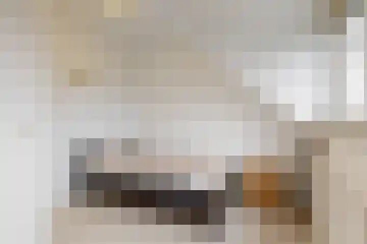 Paaldijk 122 Zwaag thumbnail 19