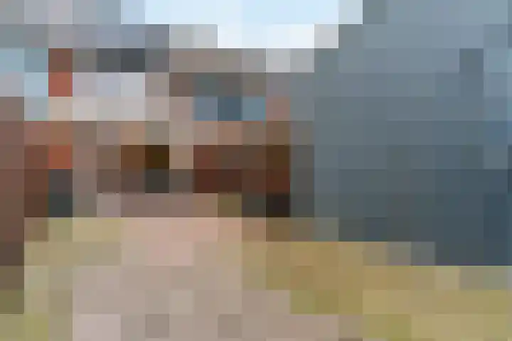 Paaldijk 122 Zwaag thumbnail 25