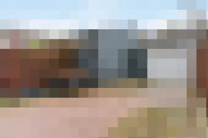 Paaldijk 122 Zwaag thumbnail 27