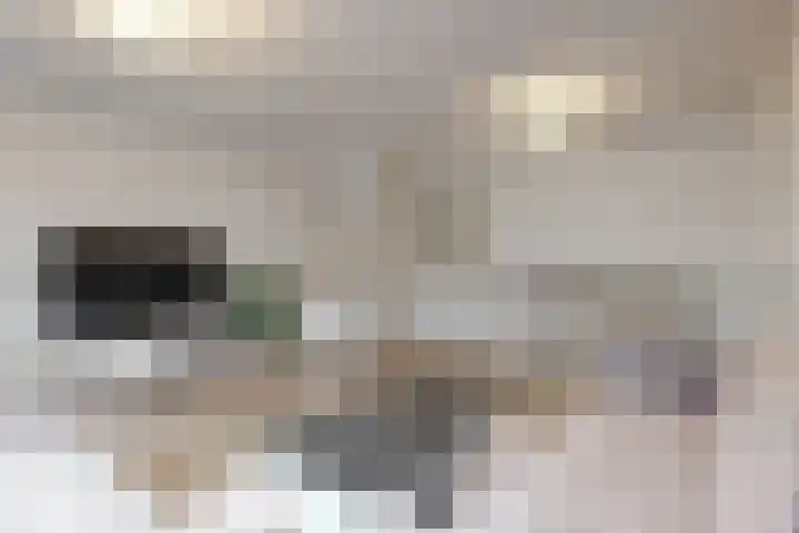Paaldijk 122 Zwaag thumbnail 4