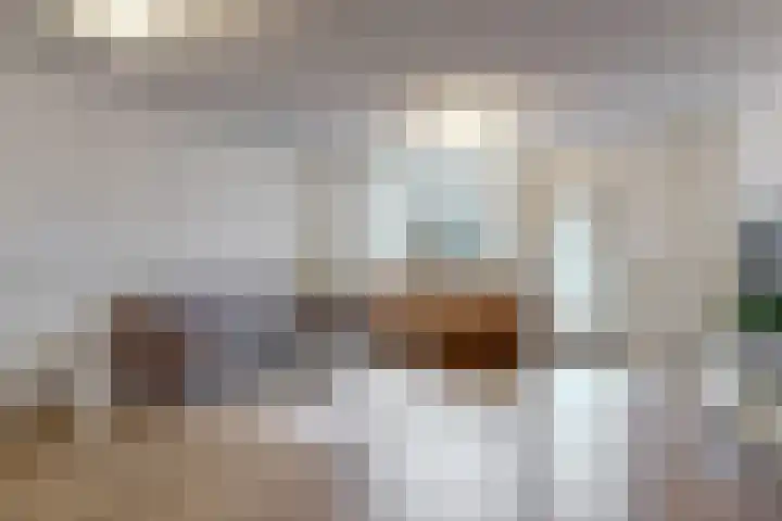 Paaldijk 122 Zwaag thumbnail 5