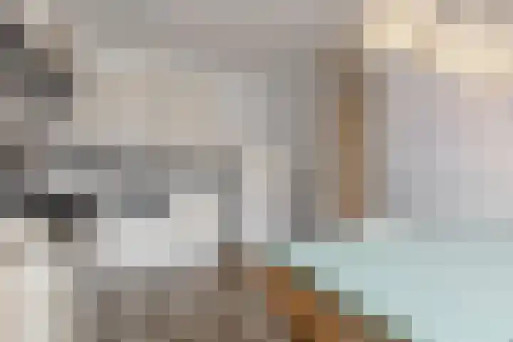 Paaldijk 122 Zwaag thumbnail 9
