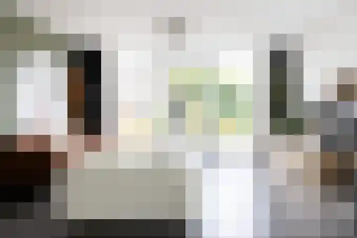 Paaldijk 126 Zwaag thumbnail 11