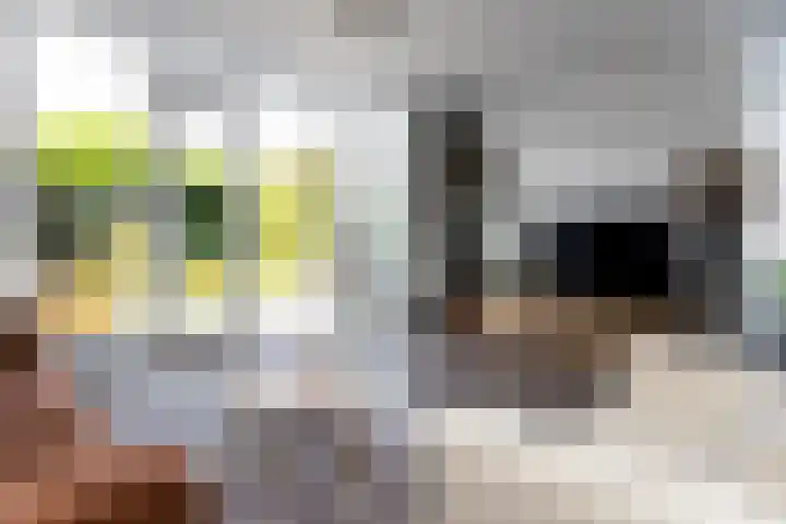 Paaldijk 126 Zwaag thumbnail 14